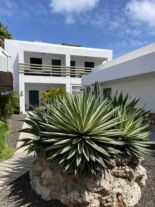 Boho Garden Apt. A Jan Thiel 0*,